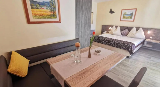 Апартаменты c 1 комнатой с балконом и с видом на озеро Appartements Diana