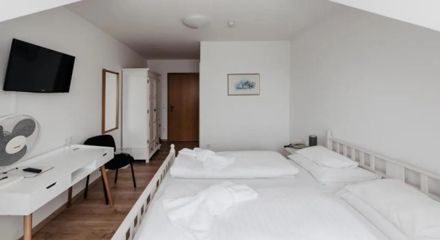 Номер Standard Hotel Mörbischerhof