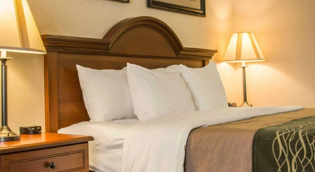 Люкс c 1 комнатой Comfort Inn & Suites Dimondale - Lansing