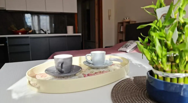 Апартаменты Lovely one bedroom studio in Tirana