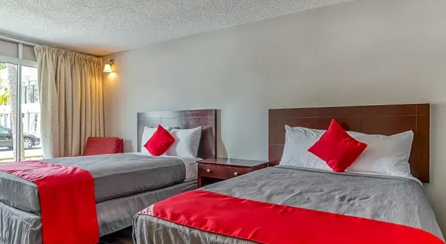 Номер Premium Hotel Pinellas Park - St. Petersburg North US-19