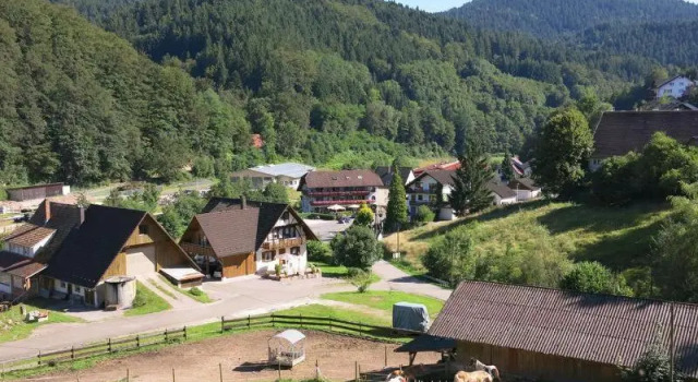 Апартаменты Ferienwohnung am Döttelbach