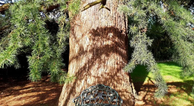 Полулюкс Domaine de Garat