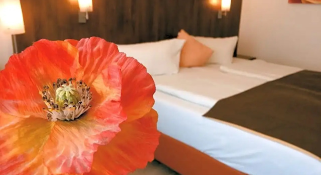 Номер Standard Hotel Triton