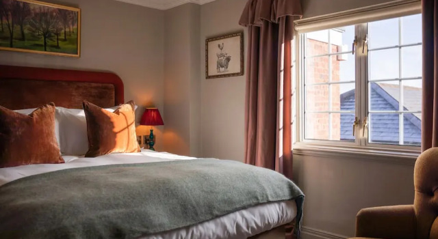 Двухместный номер Comfort Bedford Arms Hotel