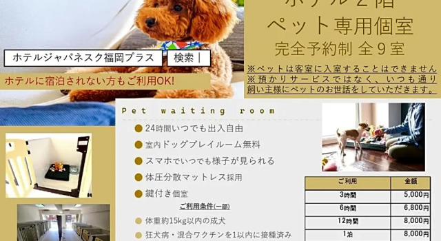 Кровать в общем номере (мужской номер) Hotel Japanesque Fukuoka