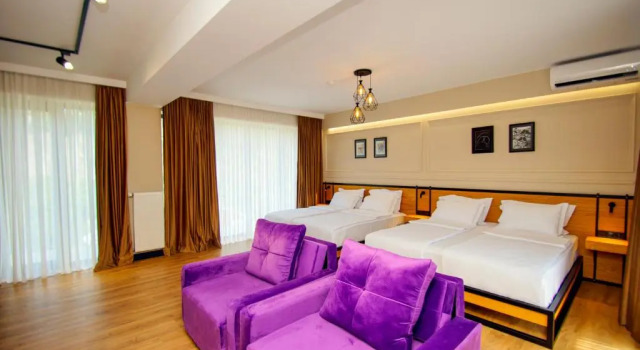 Двухместный номер Deluxe Borjomi Bridge Hotel
