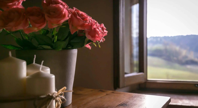 Il Vignolino Bed and Breakfast