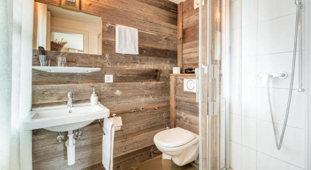 Двухместный номер Standard Hotel Kaiserstuhl