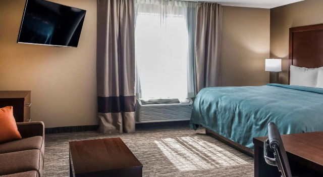Люкс MainStay Suites Edinburg South