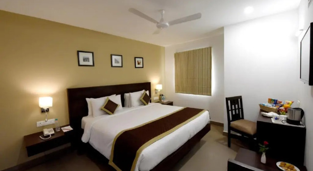 Двухместный номер Deluxe Hotel Gandharva- A Green Hotel