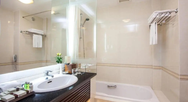Двухместный номер Premier Norfolk Hotel