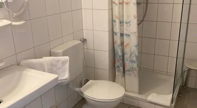 Одноместный номер Standard с балконом и с красивым видом из окна Gästehaus Gisela