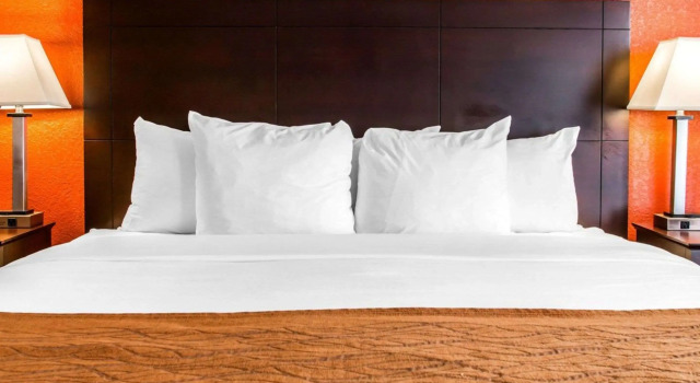 Двухместный номер Standard Comfort Inn & Suites and Conference Center