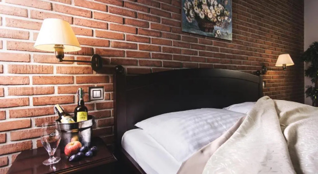 Номер Standard Hotel Purkmistr Beer & Spa Resort
