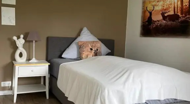 Номер Standard Landsitzhotel und Seminarium Peterhof
