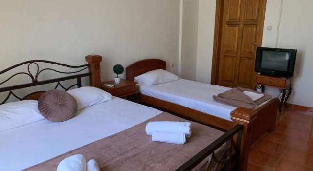 Апартаменты c 1 комнатой Guesthouse Orlović