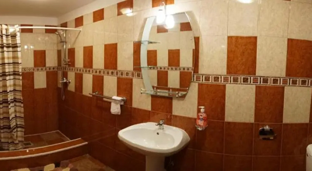 Номер Standard Vila Elisabeta
