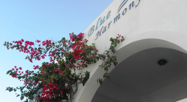 Blue Harmony Apartments