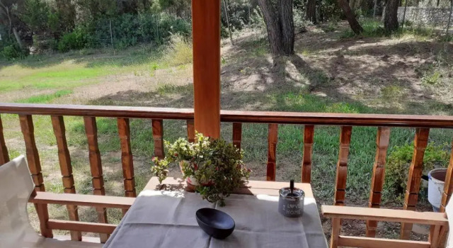Номер Economy Forest Resort Suites Skiathos