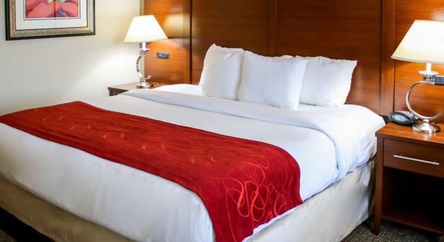 Comfort Suites At Virginia Center Commons, Reserva ahora Hotel Richmond Virginia