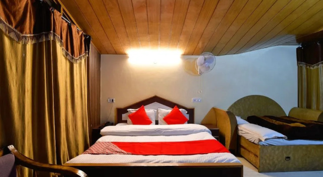 OYO 13186 Hotel Royal View