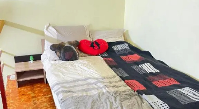 Apartament Ultracentral