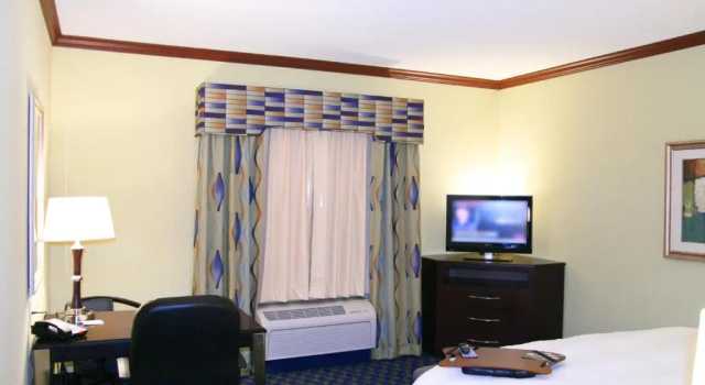 Одноместный номер Standard Hampton Inn Alice