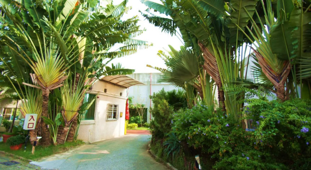 Люкс Beveriy Garden Motel
