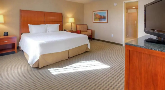Полулюкс Hilton Garden Inn Great Falls