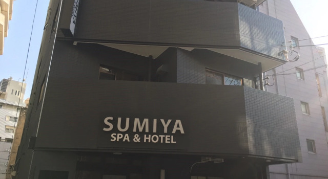 Номер Standard Sumiya Spa & Hotel