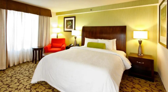 Двухместный полулюкс с диваном-кроватью Hilton Garden Inn New York / Staten Island