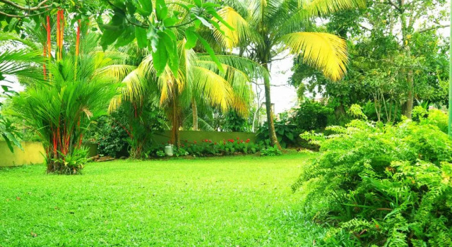 Апартаменты Galle Rest Home