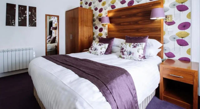 Двухместный номер Classic Selkirk Arms Hotel