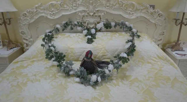 Apartament cu vedere Pheasant Suites