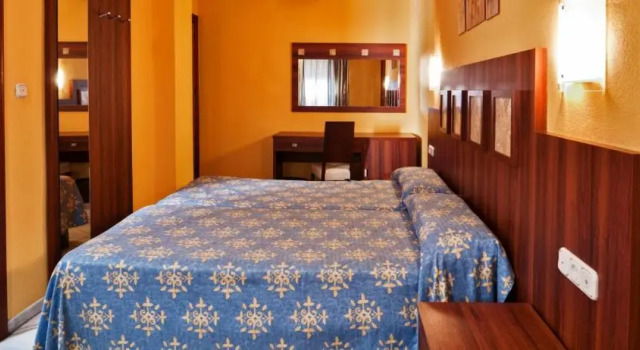 Одноместный номер Standard Hotel Nuevo Palas