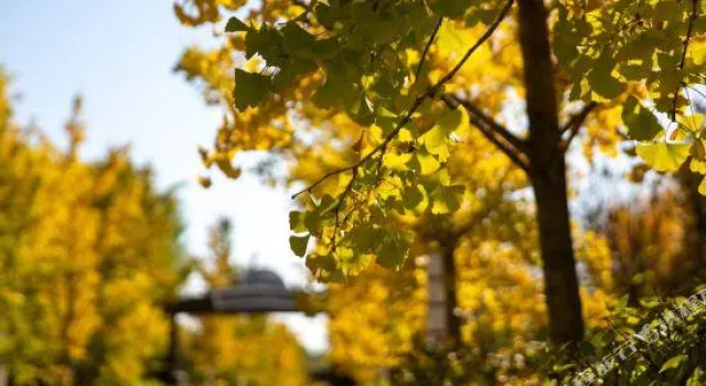Nangong Hot Spring Manor Hotel, Rezerwuj Hotel Hotele 4-gwiazdkowe w Pekin, 4*