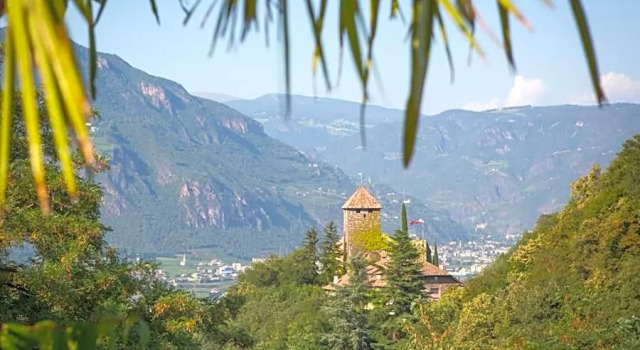 Hotel Weinberg, Забронировать Отель Аппьяно-сулла-Страда-дель-Вино Bolzano and surroundings