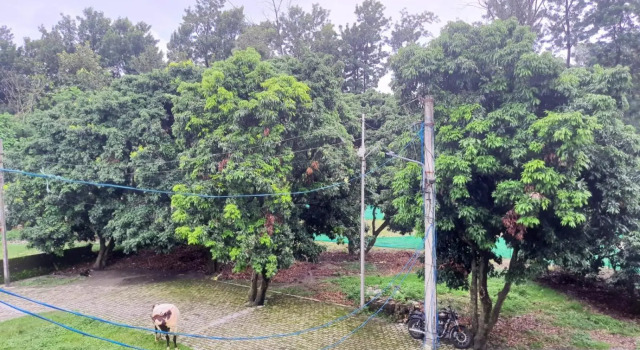 Nature View Homestay, Rezervovat Hotel Déhrádún Uttarakhand