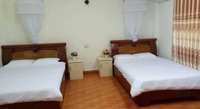 Da Lat Kiwi Guesthouse, Book Hotel Da Lat Lam Dong