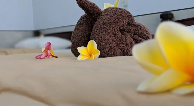 Двухместный номер Deluxe с балконом и с красивым видом из окна Serangan Inn Mimba
