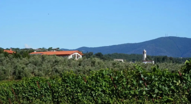 Апартаменты Agriturismo Fioralba