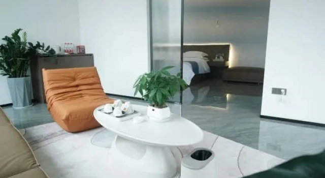 Люкс Deluxe Ruili Youruiyunji High-end B&B HOTEL
