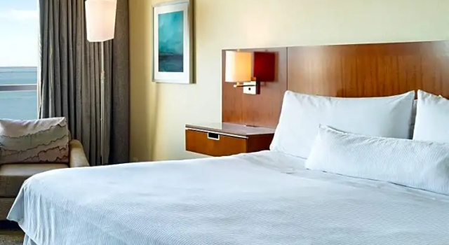 Двухместный номер Standard The Westin Tampa Bay