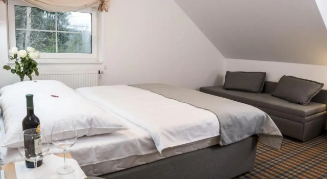 Номер Standard Horský Hotel Dobrá Chata