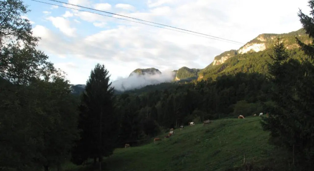 Коттедж Holiday Home Bela