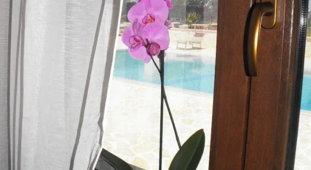 Вилла Villa Clara