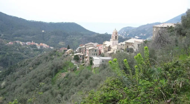 Casa Violetta