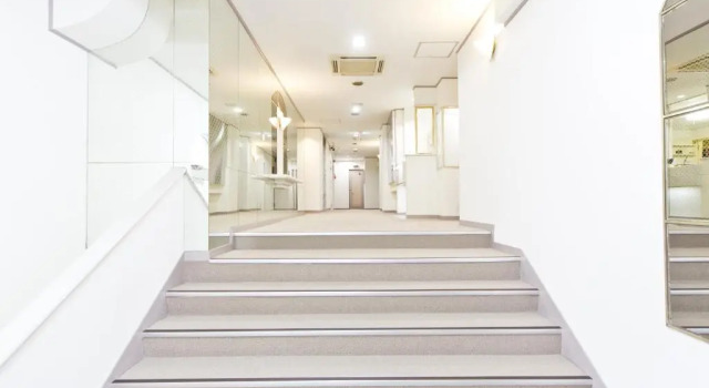 Двухместный номер Standard Shinjuku East Hotel