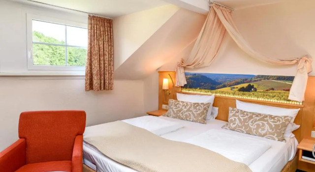 Двухместный номер Standard Akzent Waldhotel Rheingau